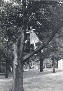 Woodland Players cast member in a tree