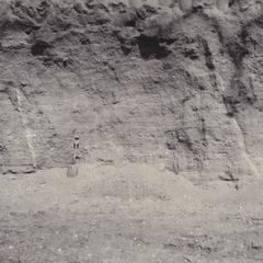 Calcite veins in gravel pit