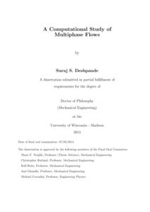A Computational Study of Multiphase Flows