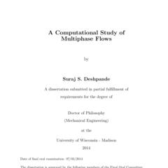 A Computational Study of Multiphase Flows