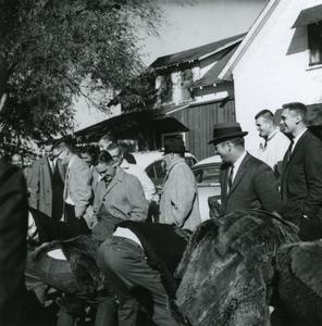 Phi Omega Beta Party, Homecoming October 1959
