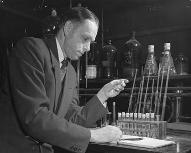 Conrad A. Elvehjem engaged in laboratory research