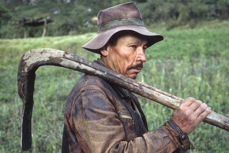 Local man with agricultural tool, near Abancay