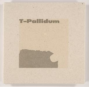 T-pallidum