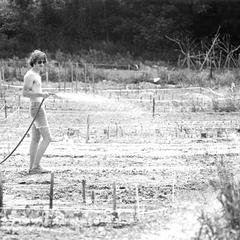 Man watering Eagle Heights garden