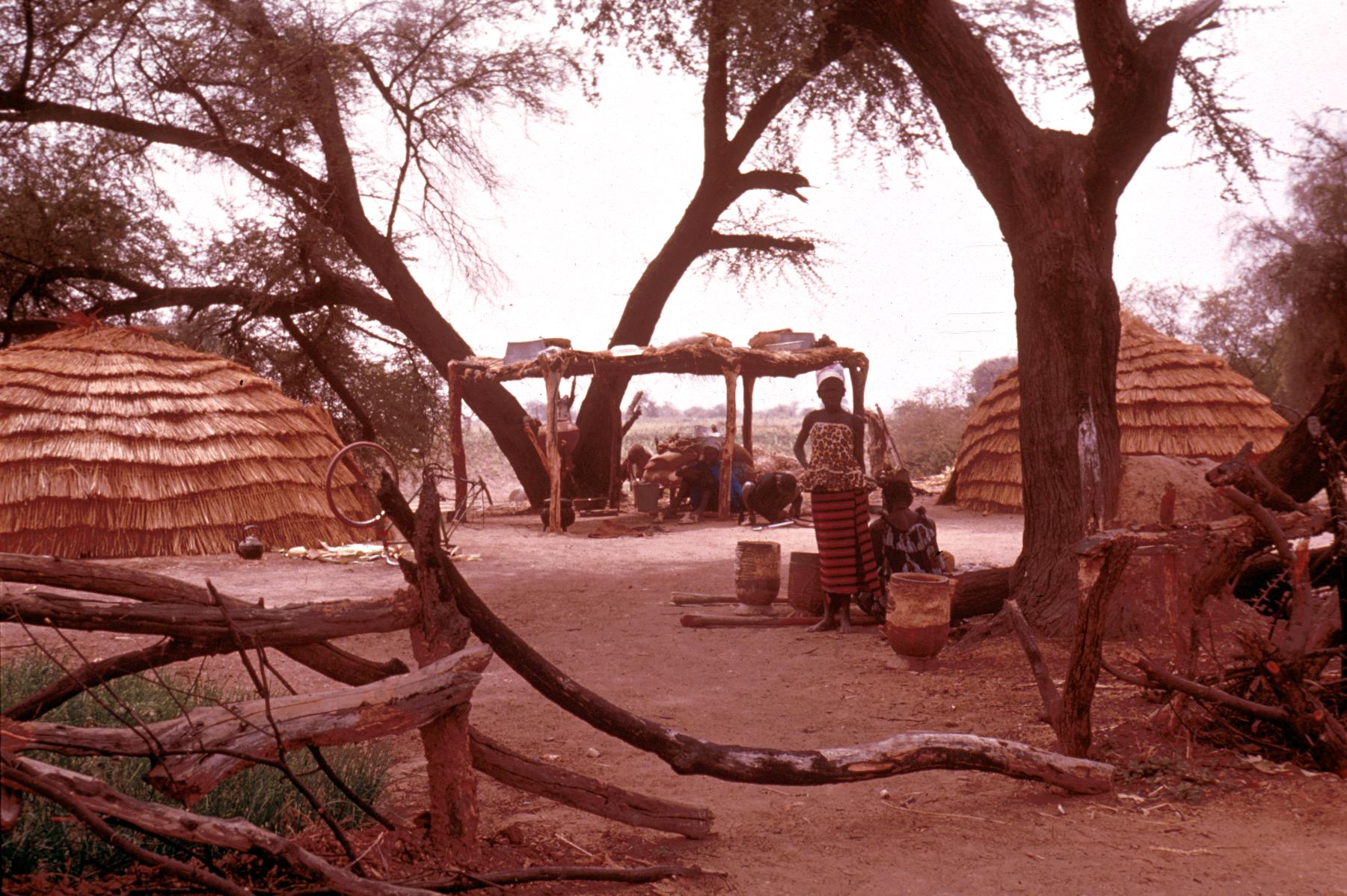 Temporary Encampment of Fulbe Near the River