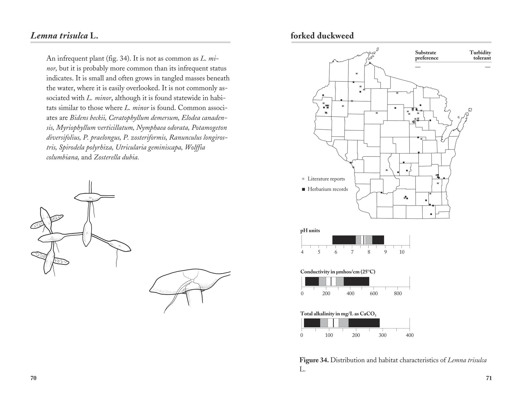 Distribution and habitat descriptions of Wisconsin lake plants Full view UWDC UWMadison