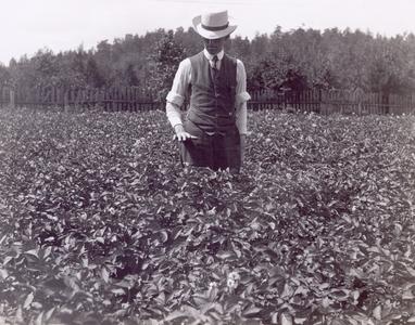 Extension Agent E.L. Luther in a Field