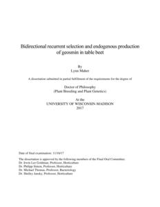 Bidirectional recurrent selection and endogenous production of geosmin in table beet