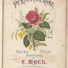 Perpetual rose mazourka