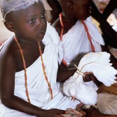 Child with White Pigeon During Etafa Ceremony