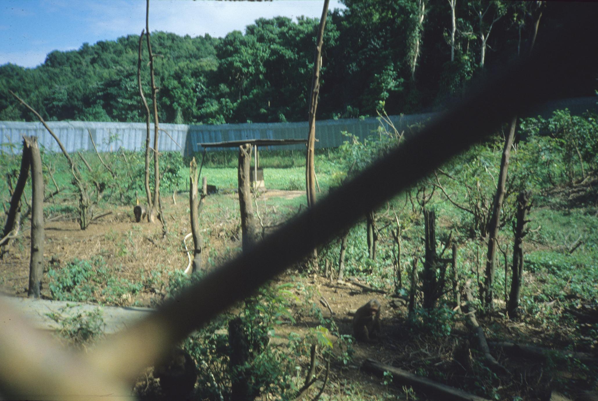 ‎Caribbean Primate Research Center UWDC UWMadison Libraries
