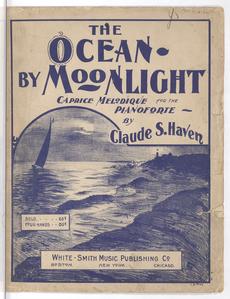 The ocean by moonlight