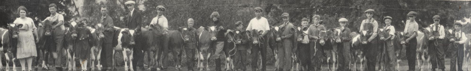 4-H kids with cows