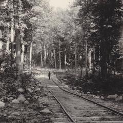 Eberhardt on tracks