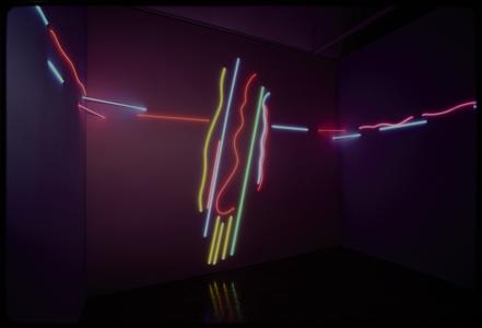 Stephen Antonakos : Neon Room for the Elvehjem