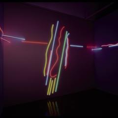 Stephen Antonakos : Neon Room for the Elvehjem