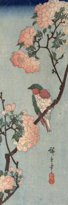Bird on a Cherry Branch