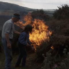 Burning whins back of Duncan Williamson's cottage in Fife