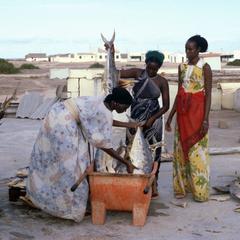 Women Collecting Fish at Kurtenwari