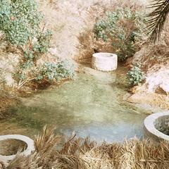 Major Water Source in Nefta Oasis