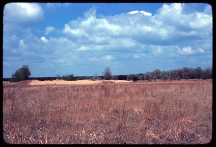 View of dune with prairie in foreground, Blue River State Scientific Area