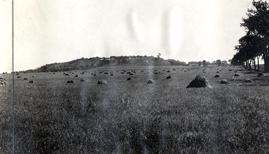 Hill with Dill's quarry