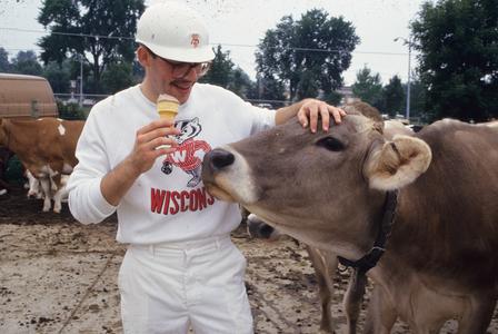 Ice cream with cows