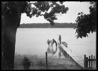 Paddock's Lake - Ed H. and horse
