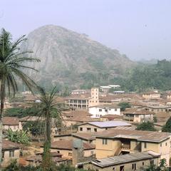 Palm tree, hills, and buildings