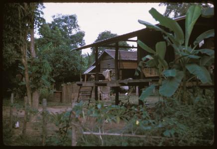Ban Pha Khao : village house