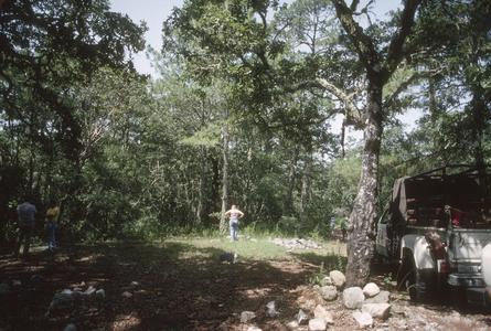 Calcareous, dry oak-pine woodland between Julilo and Ojo de Salas