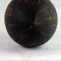 Coconut shell