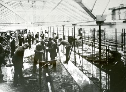 Draining a greenhouse