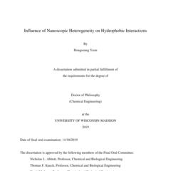 Influence of Nanoscopic Heterogeneity on Hydrophobic Interactions