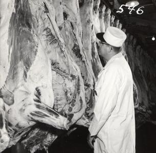 Examining butchered meat