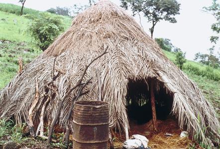 Thatched Shelter