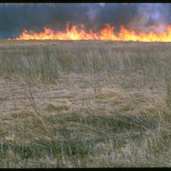 Prairie fire in early spring