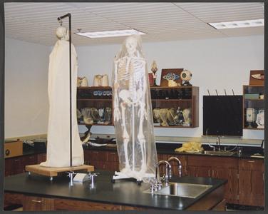 Two skeletons on a table in lab classroom
