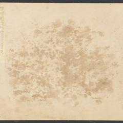 [Public Land Survey System map: Wisconsin Township 12 North, Range 08 East]