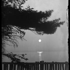Kemper Hall - moonlight under the pine