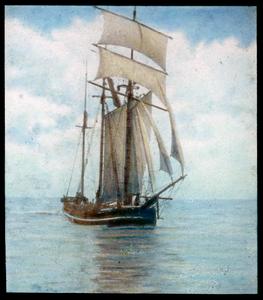 The schooner, "Contest"