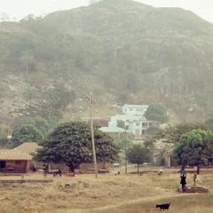 Ogidi houses