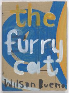 The furry cat and the mouse-in-overcoat