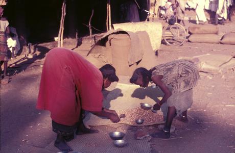 Buying and Selling Peanuts in Zaria Market