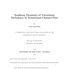 Nonlinear Dynamics of Viscoelastic Turbulence in Transitional Channel Flow