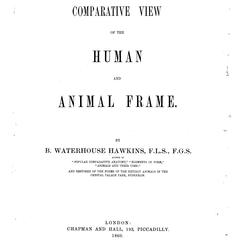 A comparative view of the human and animal frame