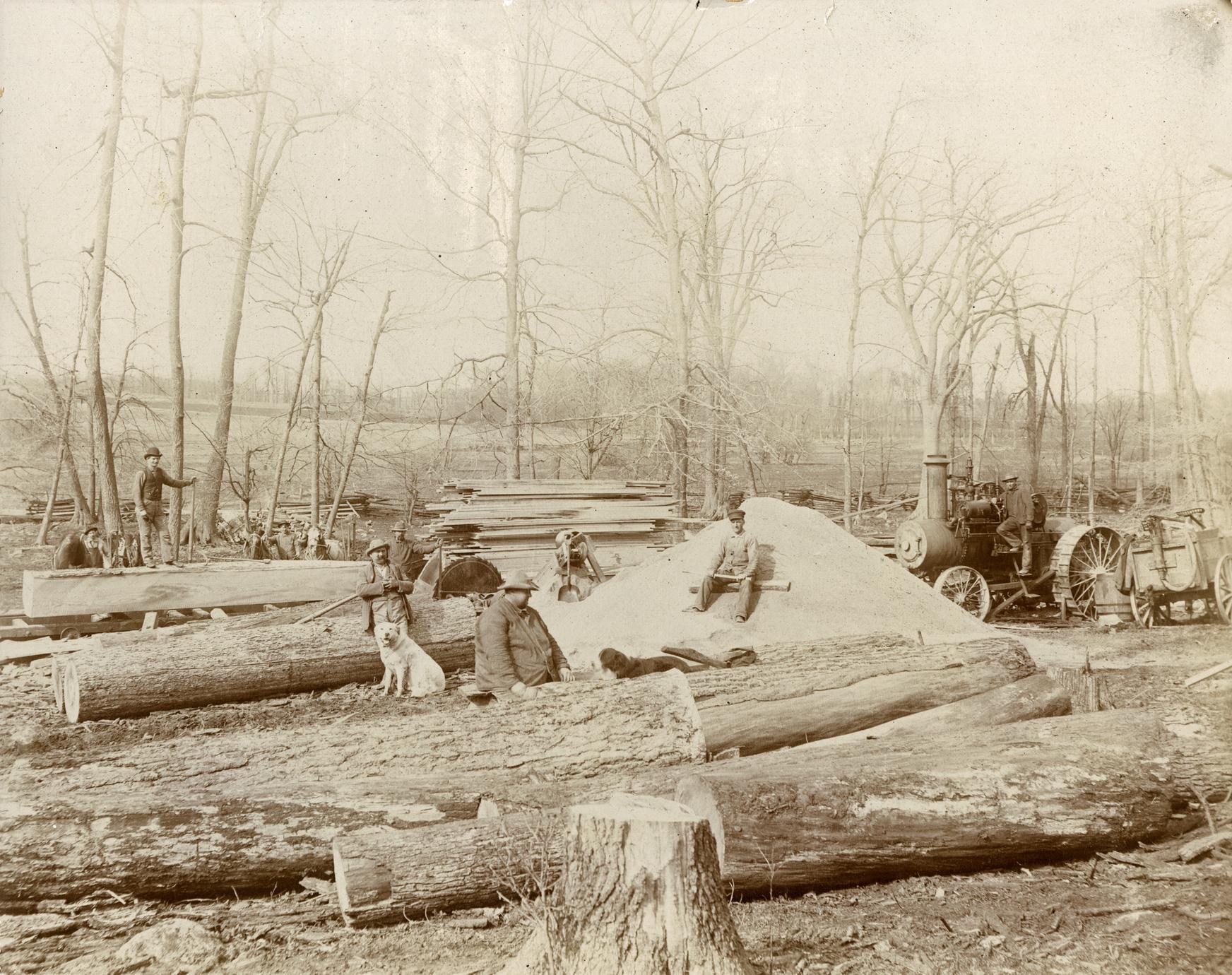 Lumber Yard and Camp, Menomonee Falls, saw