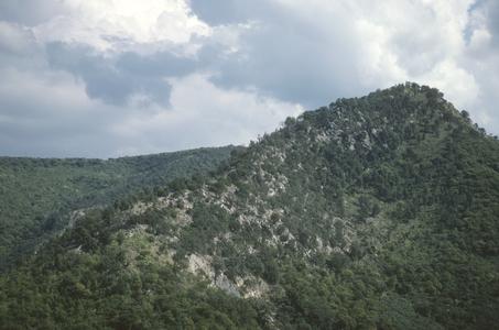 Crumbling granite zone, oak-pine forest