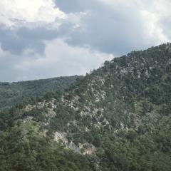 Crumbling granite zone, oak-pine forest